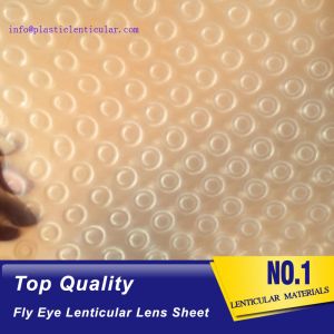 PLASTIC LENTICULAR 3d effect 360 degrees lenticular sheet arrays fly eye lenses