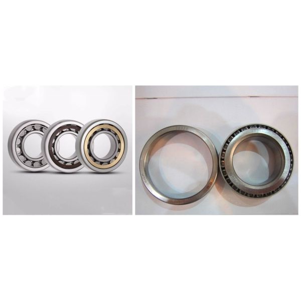 High Precision Cylindrical Single Row Roller Bearings N1016M 80*125*22mm