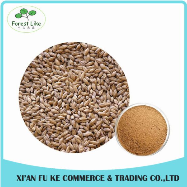 Buy Barley Malt Extract Powder Hordenine 98% at wholesale prices