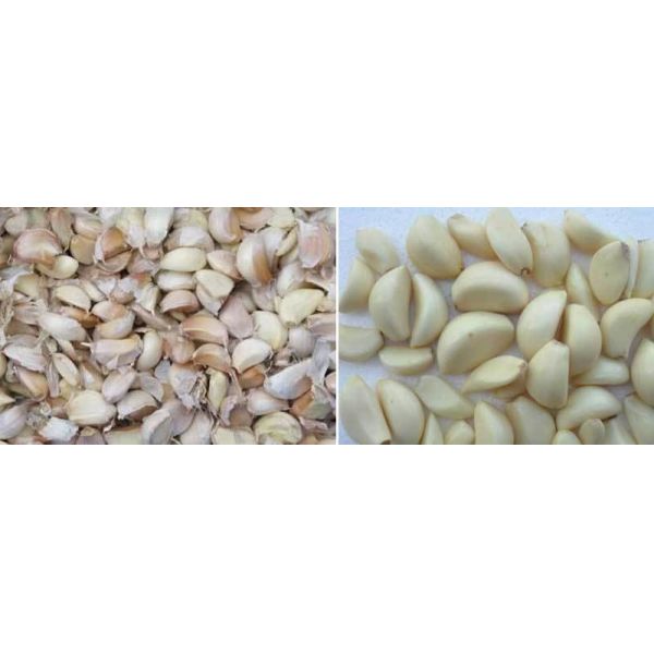 Garlic Peeling Machine