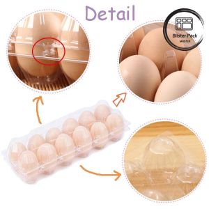 12 Hole Transparent Plastic Durable Egg Blister Tray Cartons for Secure