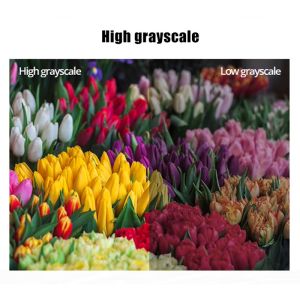 250x250 Flexible Transparent LED Video Wall Display Commercial Screen ODM