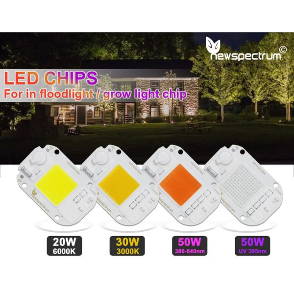 AC220V 240V LED COB Lamp Chip Driverless For Flood Light Led Bulb Spotlight