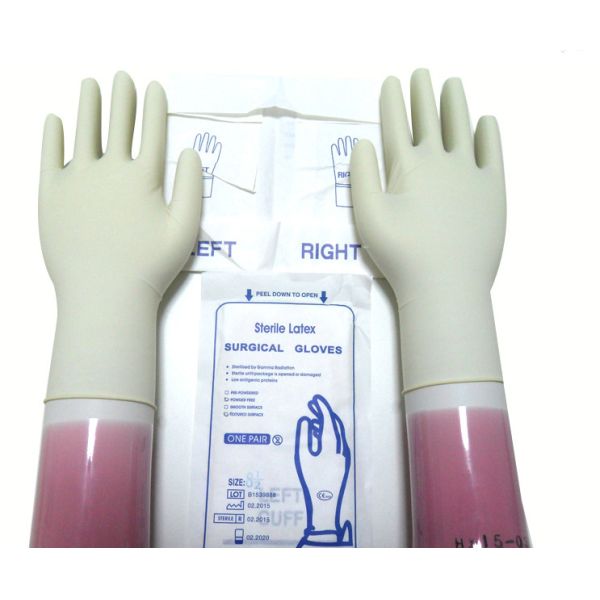 Buy Latex Material Disposable Sterile Gloves Water Resistant CE ISO Approved at wholesale prices