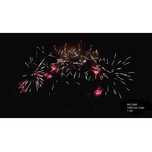 Professional Pyrotechnics Salute Cake Fireworks 100 Shots