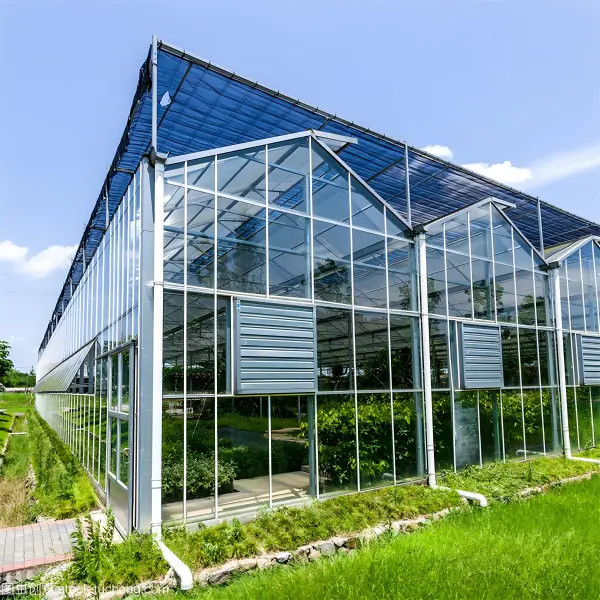 Buy Commercial Venlo Glass Greenhouse Growing Strawberries at wholesale prices