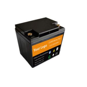 12V 20Ah 22Ah Golf Cart Lithium Ion Battery , Trolley Batteries With T Bar