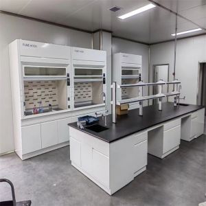 Integrated Wood Structure for Chemistry Lab Furniture with Easy Installation