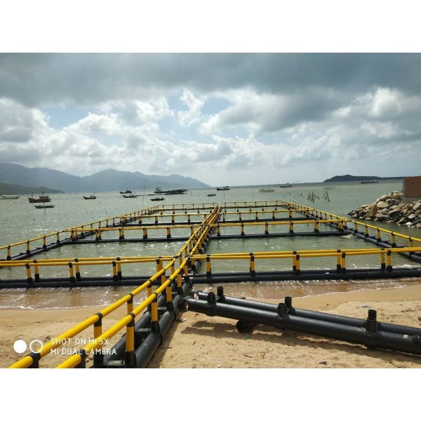 Buy Floating Fish Cages for Tilapia Support payments in USD and 1 Year After-sales Service at wholesale prices