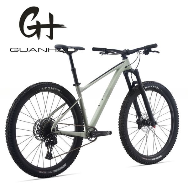 29inch Mountain Bike with SRAM 11 Speed Front Suspension Fork and Aluminium Alloy Frame OEM