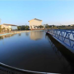 Ultra Filtration Water Purify System UF Water Desalination Plant