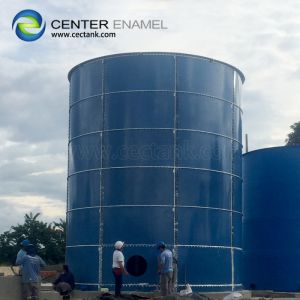Quality Double coating Anaerobic Digester Tank For Biogas Digestion Plant for sale