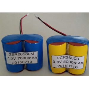 1000mA LISOCL2 Lithium Primary Battery For Nursing Home Locks