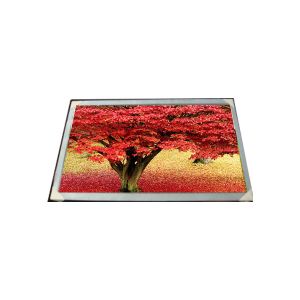 Quality 18.5 inch G185BCE-LE1 Industrial LCD display 1366*768 LCD Screen for sale