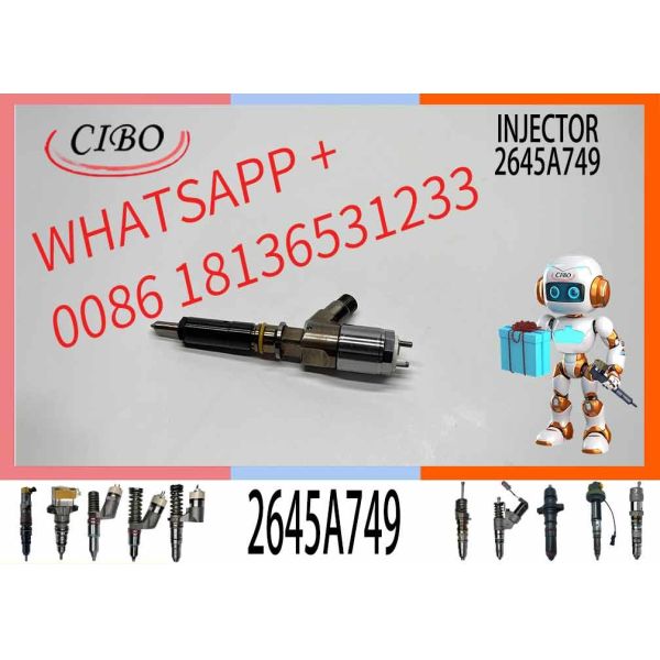 320-0690 Common Rail C6.6 Diesel Engine Fuel Injector 10R-7673 2645A749