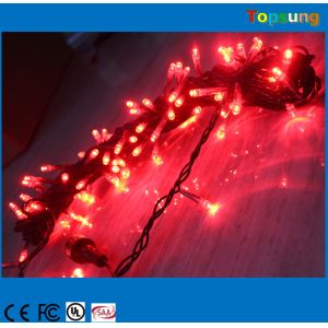 garden decorate 100leds AC christmas led string light