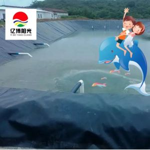 Industrial Design Style Geomembranes The Preferred Geomembranes for Fish Pond