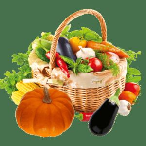 Multifunctional Electric Industrial Fruit Cutting Machine For Restaurant