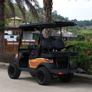 Strong and Elegant 2 Front Seats & 2 Rear Electric Golf Carts Carried 5KW Motor