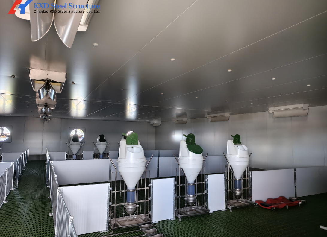 Steel Frame Piggery Shed Construction Long Span Steel Poultry Buildings