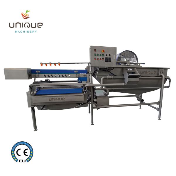 Salad Leaf Vegetable Processing Line Take Your Salad Production to the Next