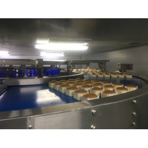CE SUS304 Semi Automatic Sponge Cupcake Production Line