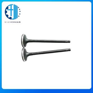 Exhaust Valve 6204414210 4982909 4982895 For B3.3 Excavator Engine Spare Parts