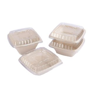 Reusable Custom Molded Pulp Packaging Printing Food Packing Box