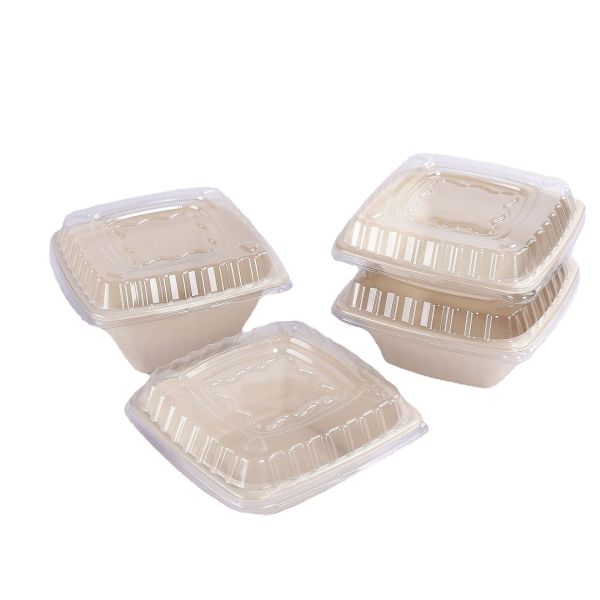 Reusable Custom Molded Pulp Packaging Printing Food Packing Box