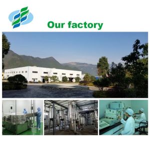 ISO 98% Curcumin Extract Powder Antibacterial Turmeric Root Extract Antioxidant