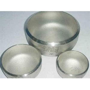 Polished Surface Customized Flanged Stainless Steel Tube Plug Cap