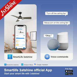 Modern 52" Ceiling Fan with Light Energy Saving 3 ABS Blades DC Motor