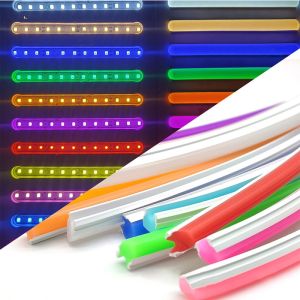 Silicone Extrusion Neon Lights 110V 127V 220V IP65 Waterproof 120leds/m SMD 2835