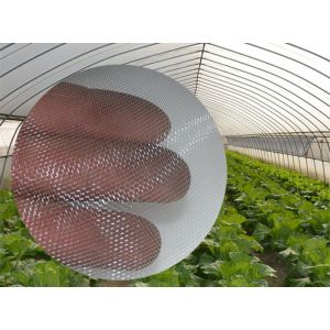 Insect Netting for Vegetable Gardens