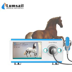 Small Animal Physical Radial Equine Shockwave Machine For Horse Treatment