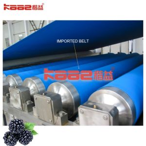 2.2KW 2500KGS Concentrated Juice Processing Line Mango Juice Making Machine