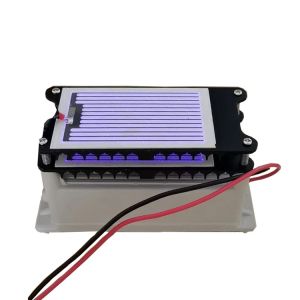 10g Ceramic Ozone Generator Accessories Corona Discharge For Hotel / Garage