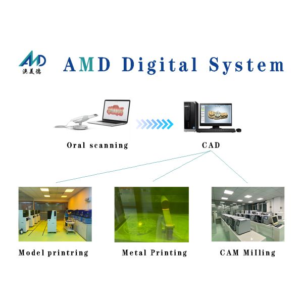 Dental Restoration Translucent Zirconia Dental Crown For Precise Fit And Natural Aesthetics