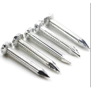 China Latest Metal Building Galvanized Steel Concrete Nails 2 Inch on sale