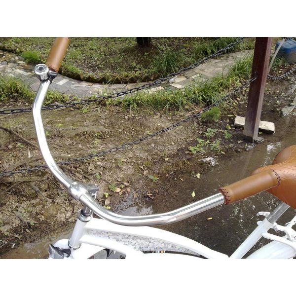 OEM Steel Frame Disc Brake Beach Cruiser Bicycle for American Market Mid-Year Sale