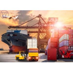 International Sea Freight Shipping Flexible Solutions To UAE