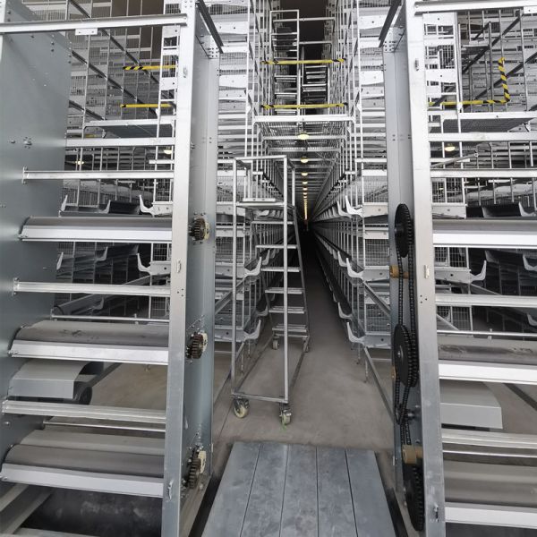 Buy 1.2mm Poultry Manure Removal System at wholesale prices