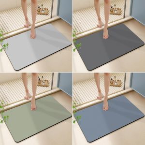 Waterproof Heat Resistant Diatom Mat for Modern Living Room Door Floor in