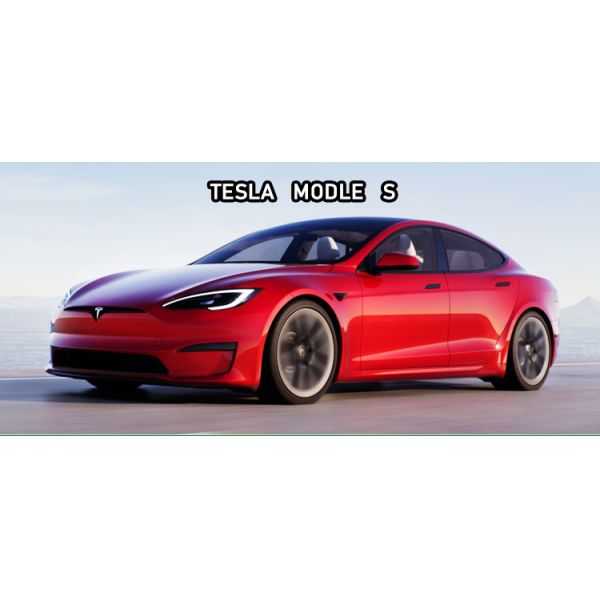 Tesla Model Y Electric Car 4964*1850*1443mm Length Width Height for Chinese Market