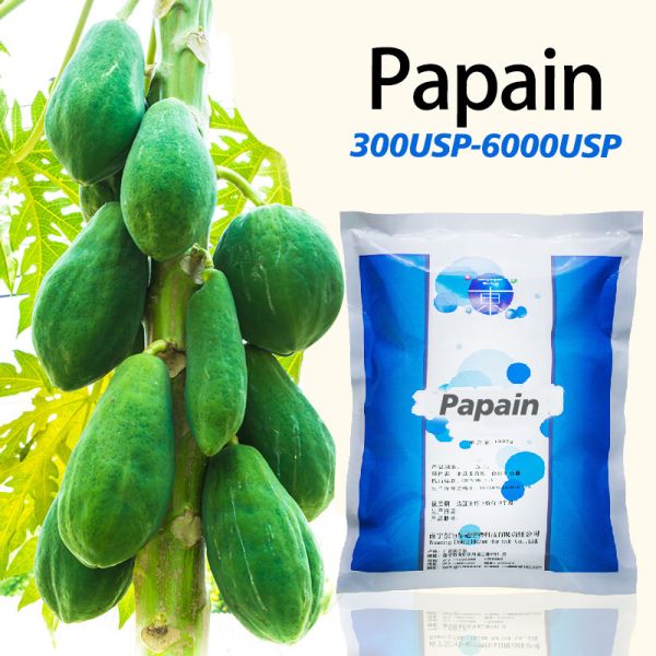 papaya enzyme powder 1000TU/MG Protease manufacturers enzyme preparations have