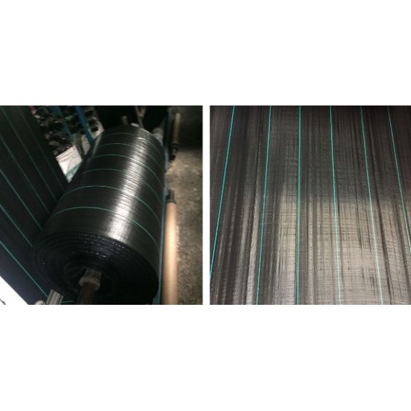 Anti-Moisture PP Woven Fabric,Gound Cover, Weed Control Fabric 100gsm