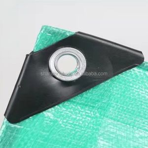 PE Canvas Tarpaulin for Waterproof Sunscreen Truck Outdoor Awning Garden Plant