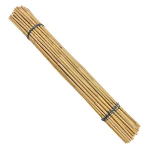 Quality Eco-Friendly Bamboo Poles Toamto Beans Potted Plants for Indoor and Outdoor Plants for sale