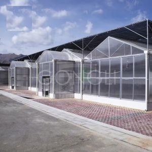 New Building Materials Transparent Plastic Terrace Polycarbonate Roof Sheet