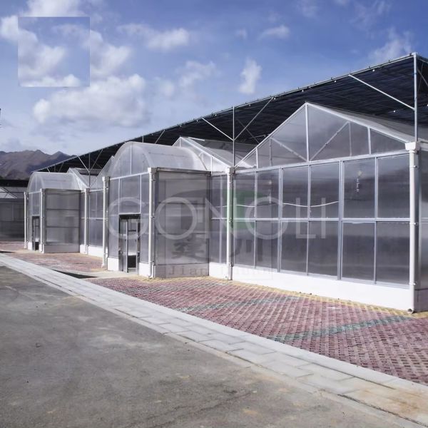 8mm Polycarbonate Greenhouse Sheet Foldable Covering Multi Span 15x30 With